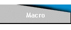 Macro