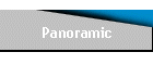 Panoramic
