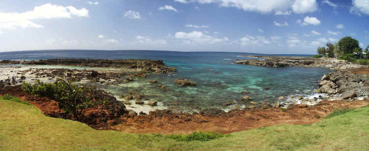 Sharks Cove.jpg (617991 bytes)